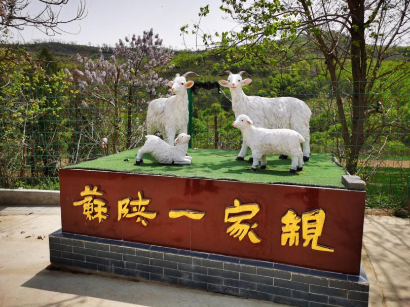 对口帮扶看苏陕——来自三秦大地的故事④|徐州宝鸡携手,决战决胜脱贫攻坚