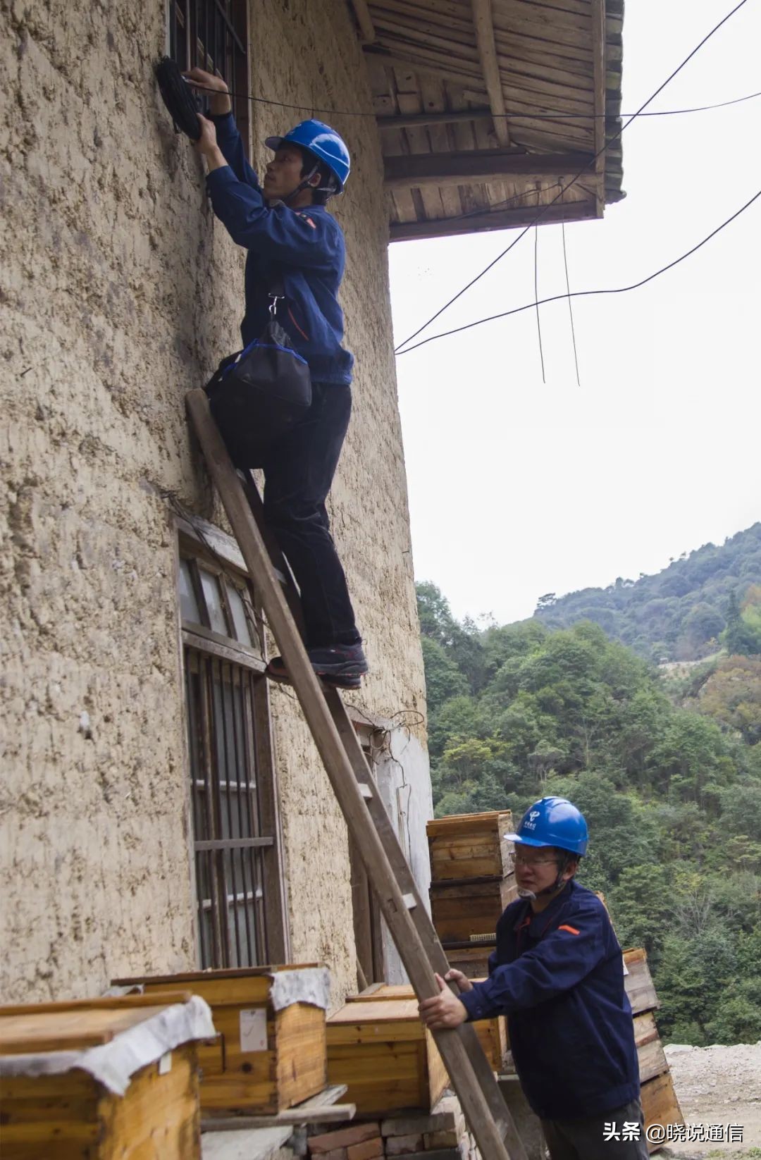 新农村致富故事,基本都是新农人的创业故事