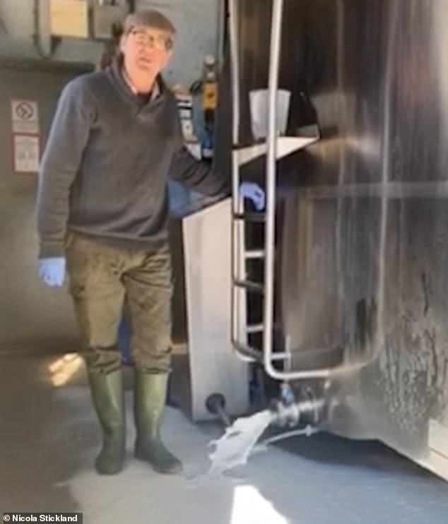 英国牛奶滞销，数十万升被直接放掉，白花花的液体淹没脚面