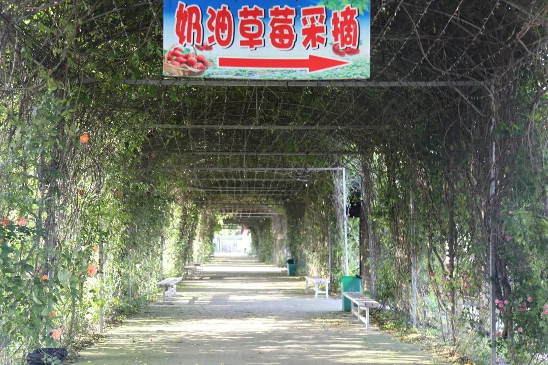 汉川5天周边游攻略,汉川徒步旅游攻略一日游