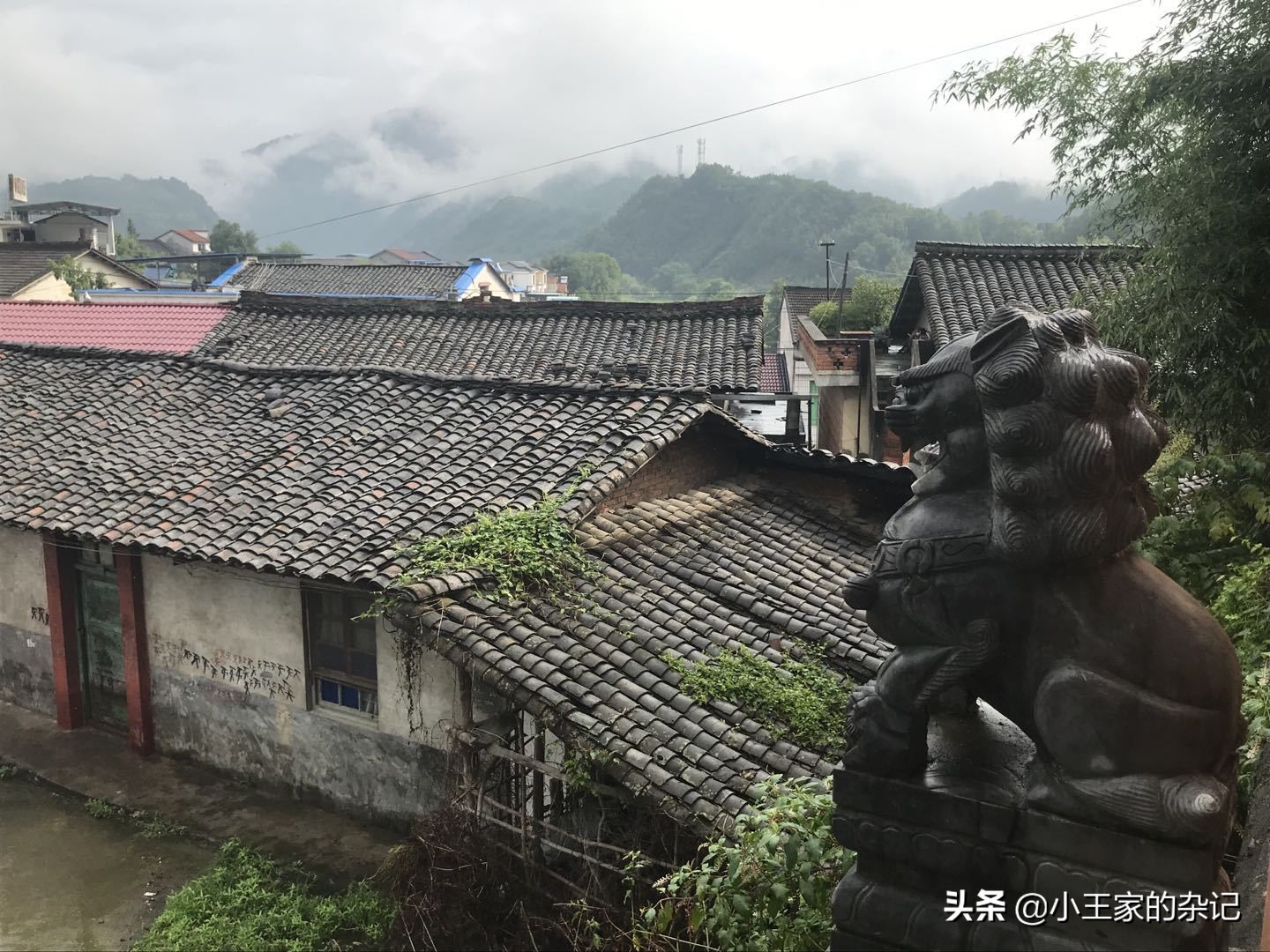 大山里，有一趟可以赶集的绿皮车|8361次汉中—阳平关