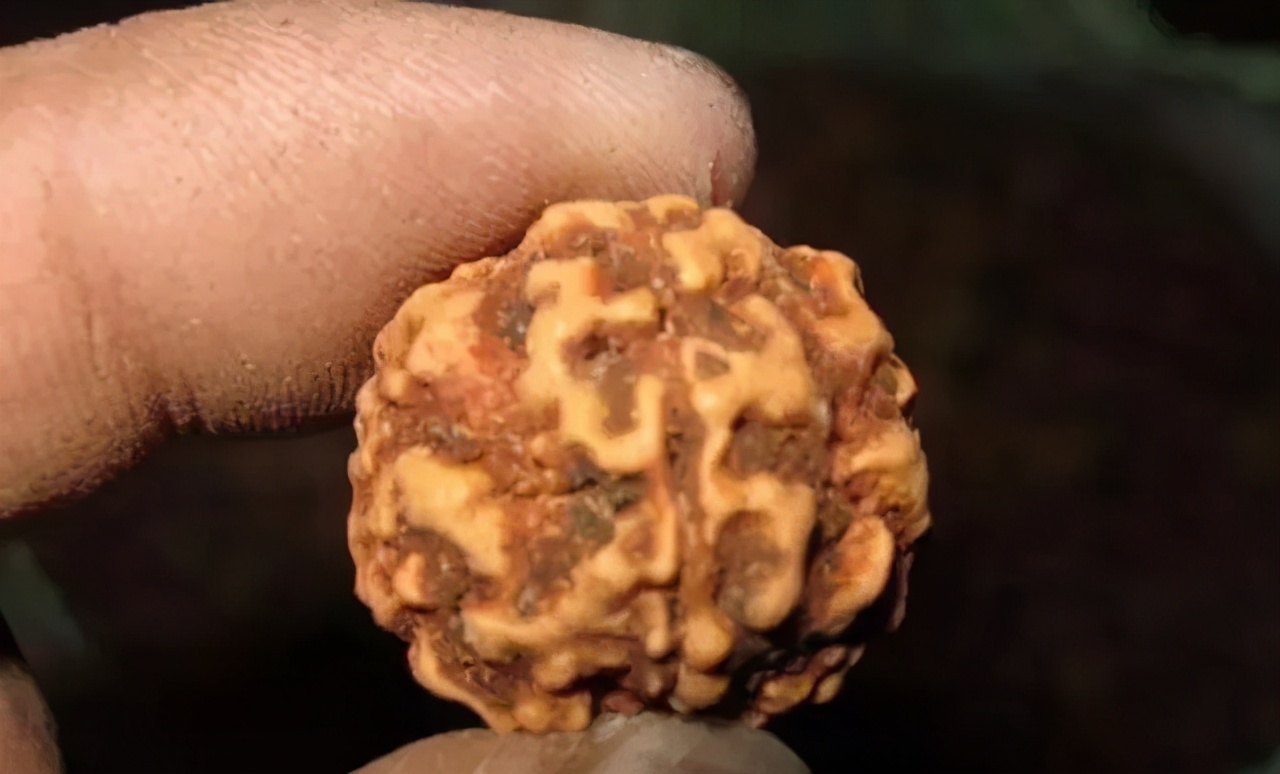 这些金刚的替代品,你们都有买过吗?