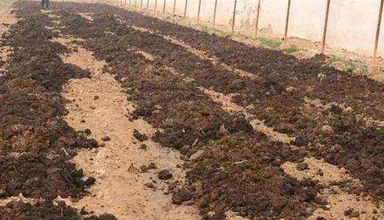 粪肥发酵的正确方法,发酵粪肥的最佳方法