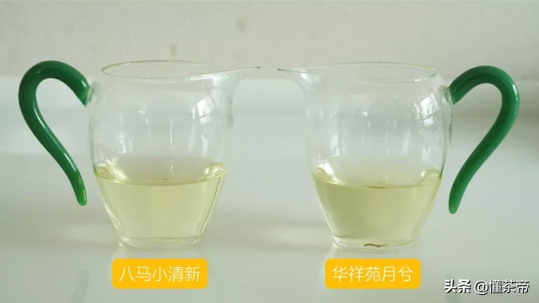 海堤铁观音与八马铁观音,八马茶业清香铁观音金罐测评