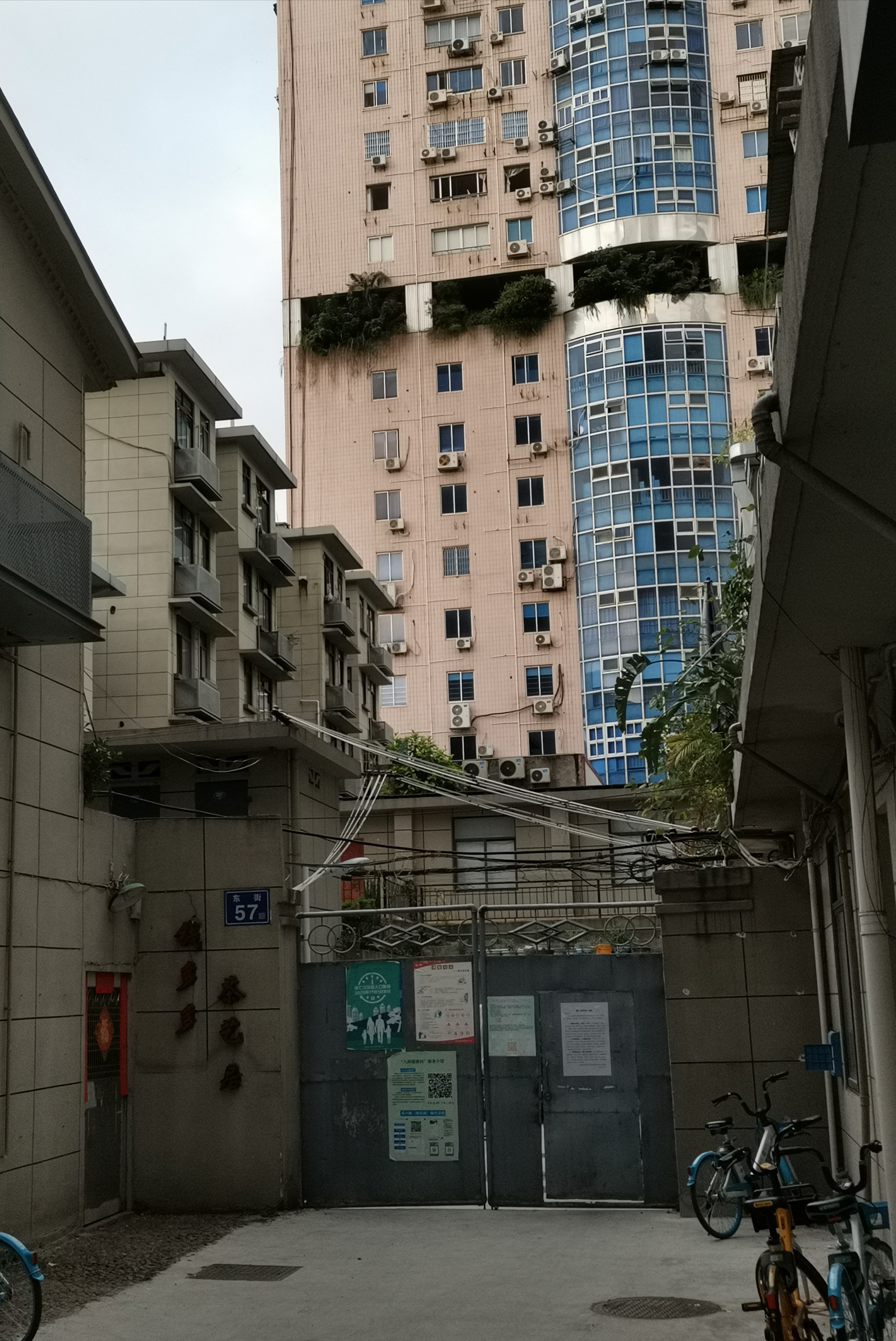 福建情结,福建人的家族情结