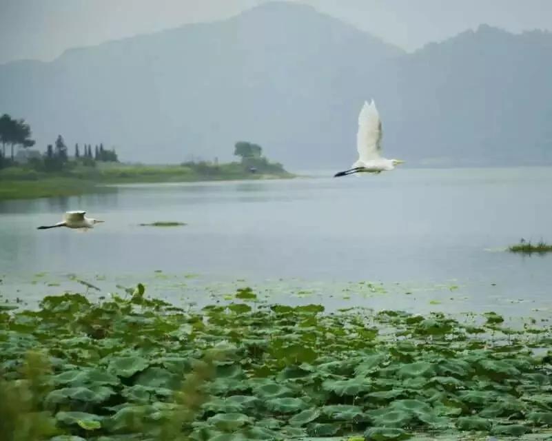文学欣赏丨周天明永康地景咏