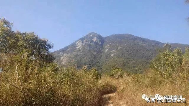 万万没想到金庸,陆河圣峰嶂