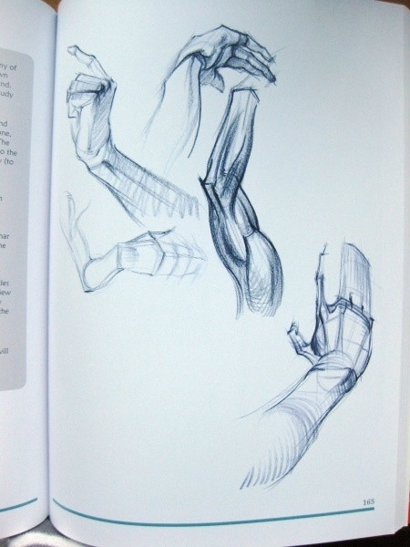 透视表现空间的基本方法,透视解剖学原理书籍