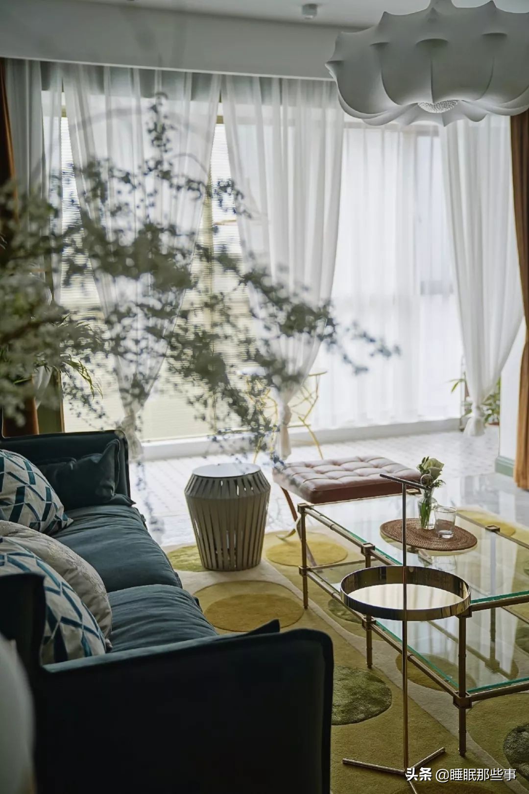 看了一眼她家的绿墙，我觉得我家还可以再抢救一下