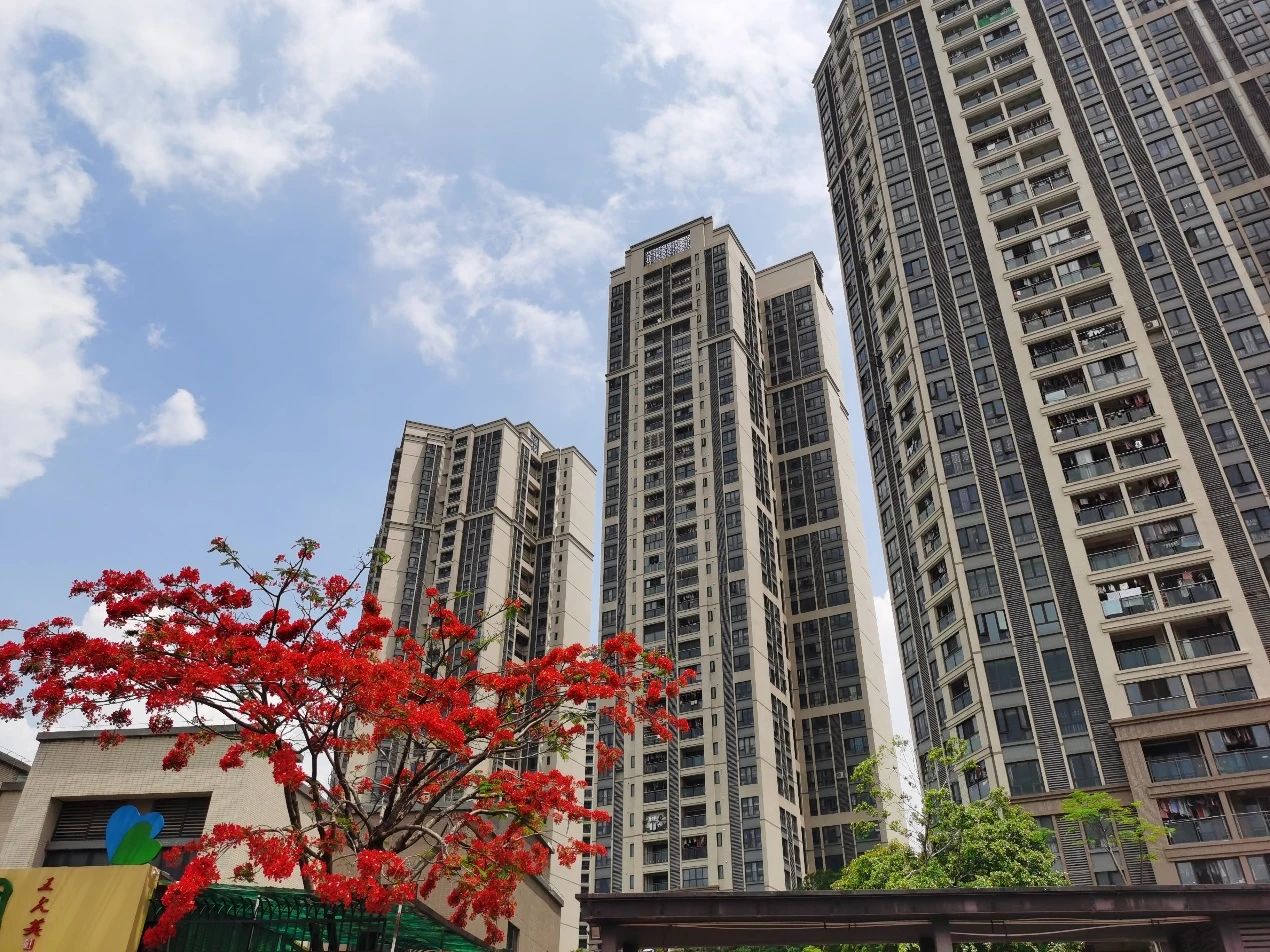 荣耀Play4 Pro评测：2899元的麒麟990，年轻人们觉得香不香？