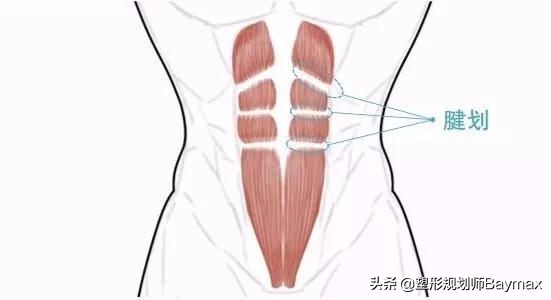 腹肌锻炼七天出腹肌八个动作,哪些动作可以练腹肌让腹肌更明显