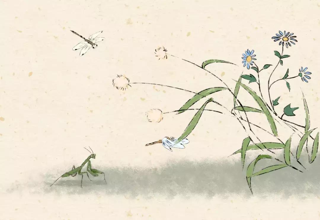 芒种黄龄清唱,芒种百里玄策