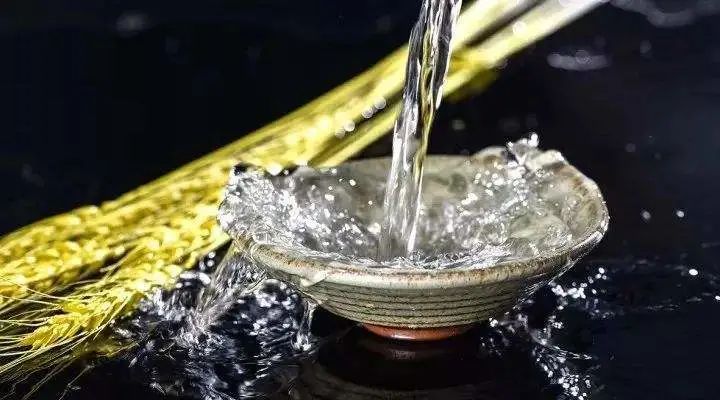 喝了一杯二锅头呛得眼泪流,一杯二锅头呛得眼泪流歌词