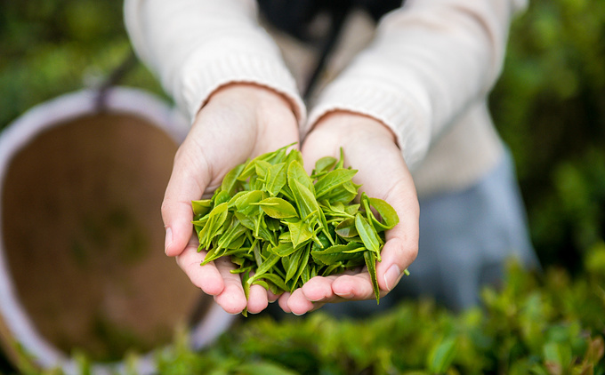 疫情对湖南这里居然丝毫没有影响！0病发，还超级适合徒步旅行！