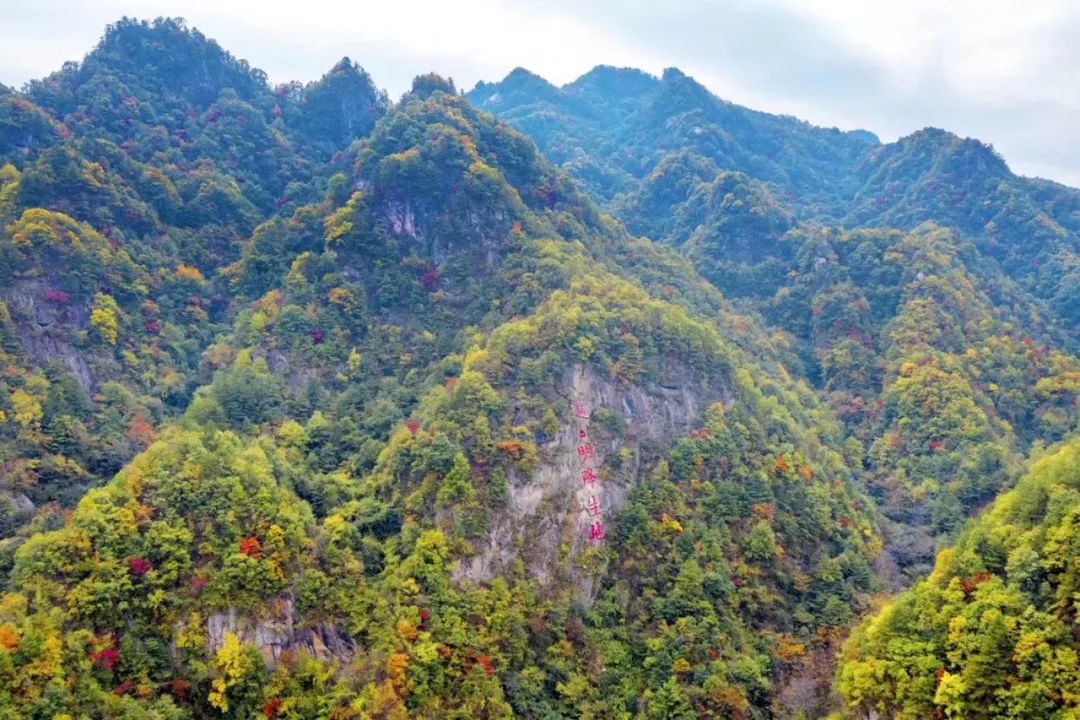 大饱眼福！数百辆重型机车即将汇集在洛阳这个地方
