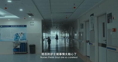 横扫电影节奖项,横扫国际影展