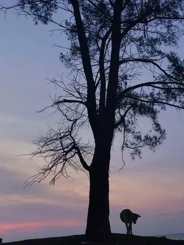 手机摄影好看的优秀作品,手机拍100个高逼格摄影作品