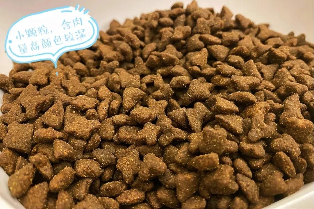 小红书推荐猫粮,猫粮小红书达人