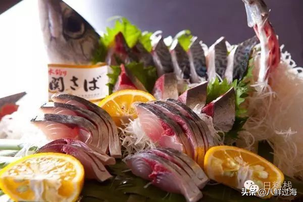 鲭鱼｜虽生犹死的那种境界……