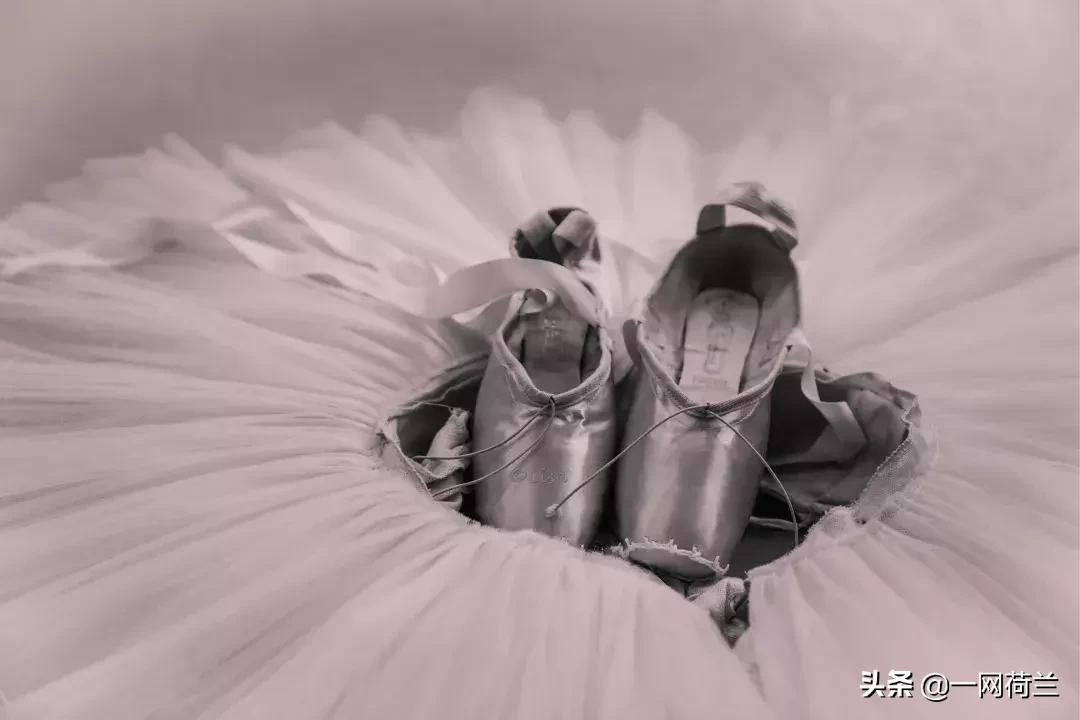 芭蕾舞演员张媛媛个人资料,荷兰国家芭蕾舞团张媛媛