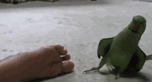 脚臭脚气脚痒快速解决,脚气脚臭脚痒最快怎么治疗