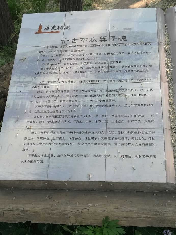 漫山花如雪,风吹暗香来