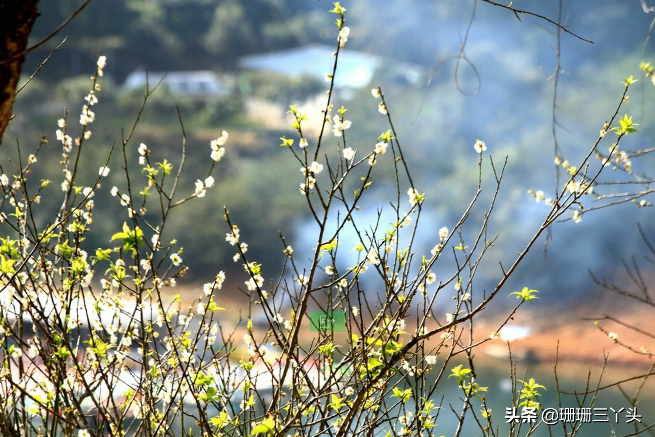 广州的后花园,广州的后花园是哪