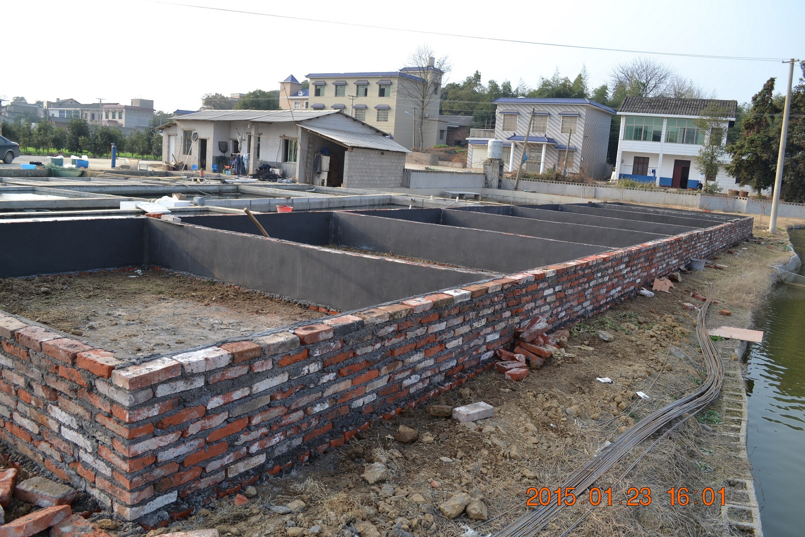 湖南最好的锦鲤养殖基地,湘潭锦鲤养殖