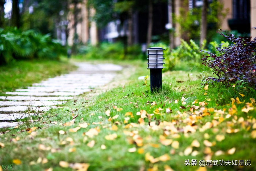 禅武山人说功夫：释译王芗斋先生原汁原味的养生桩原传功法歌诀