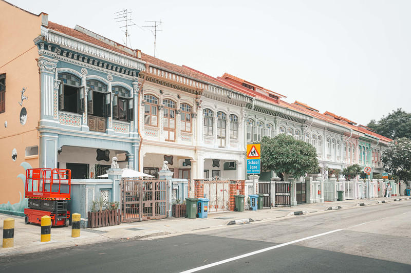 一人一猫环游,一人一猫旅行