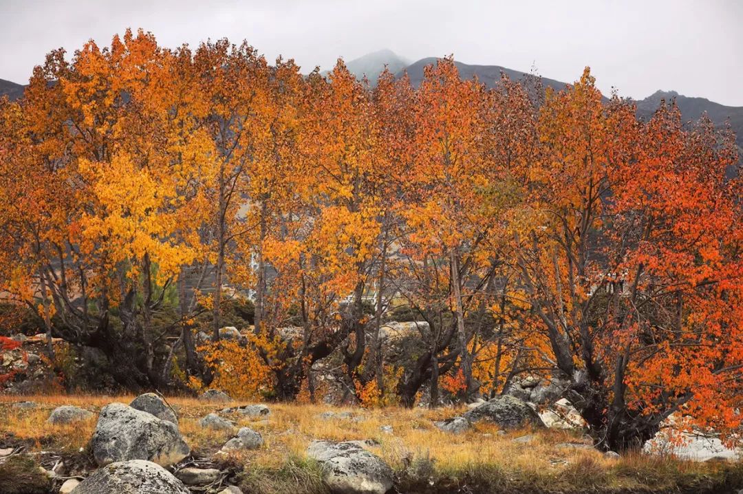 什么时候去稻城最好,什么时候去稻城