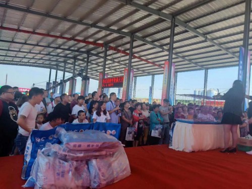 王濛宠物,狇杰宠物市场几点开门