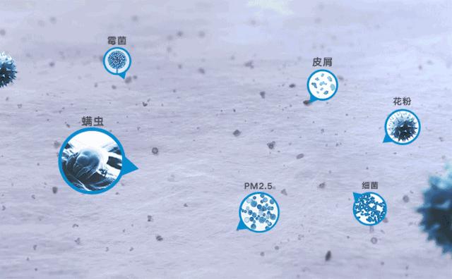 生活用品日常清洁小妙招,日常生活卫生如何打理好