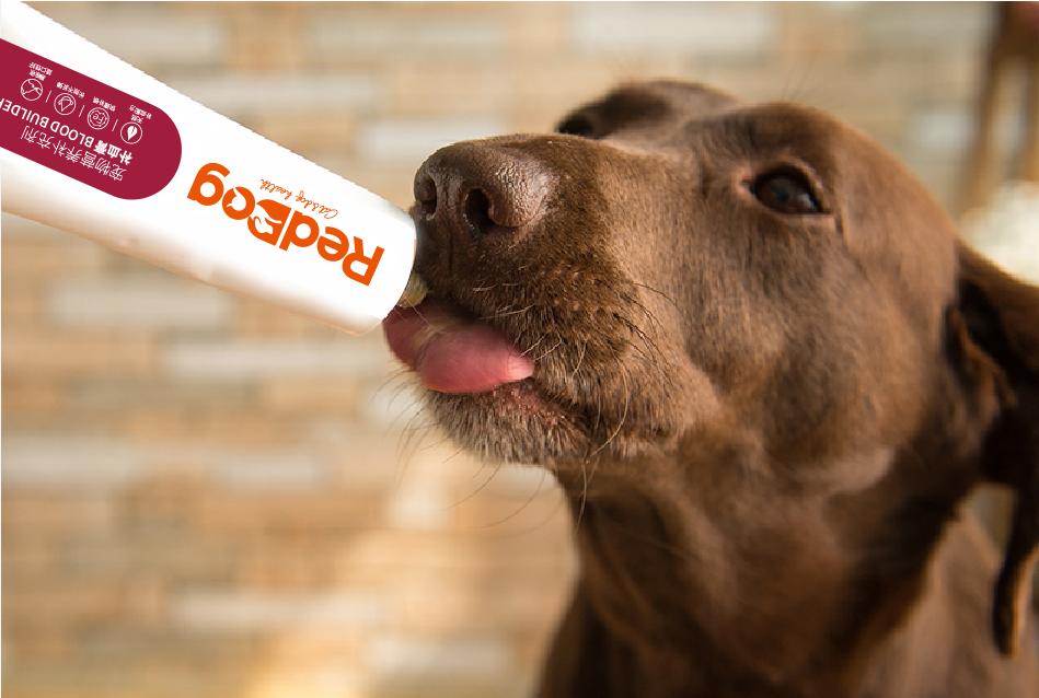 猫的驱蛔虫药推荐,猫蛔虫用什么药