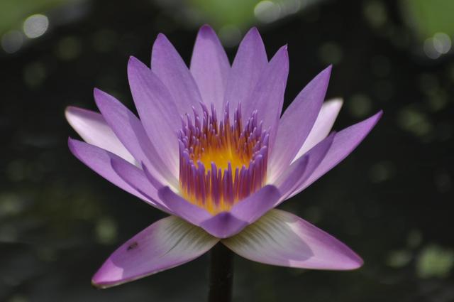 如何快速长头发,怎么样快速长头发