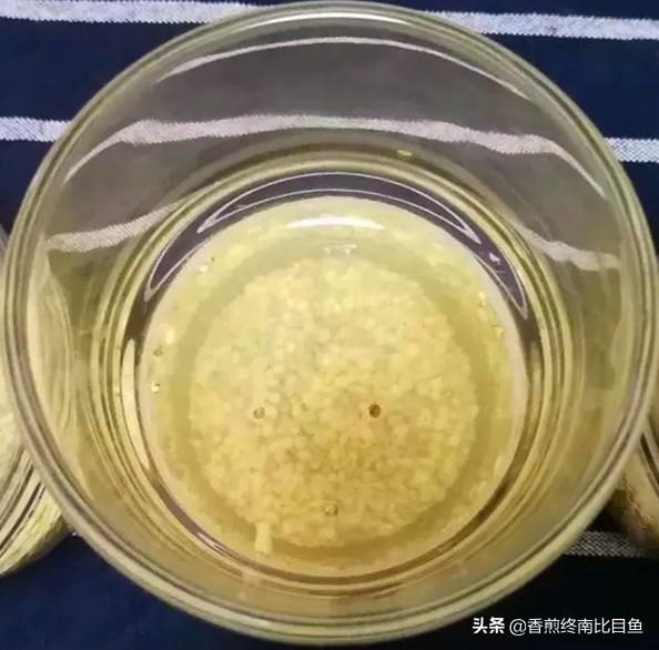 火遍全网的特产试吃,火遍全网的食物