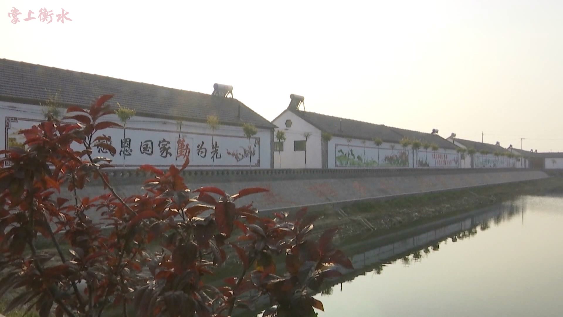 农村坑塘改造图片,昔日废坑塘变身乡村风景线