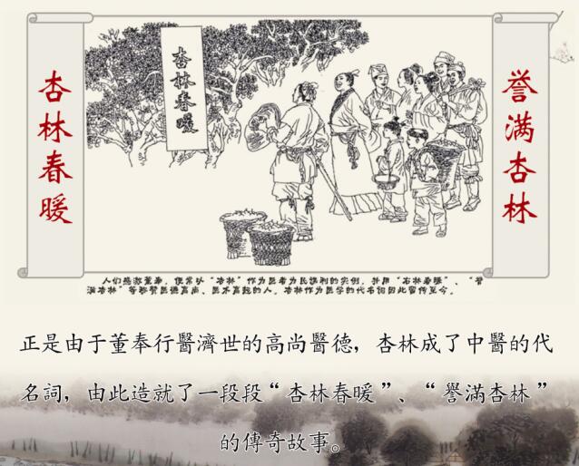 梨园杏林杏坛什么意思,杏坛梨园桃李是什么意思