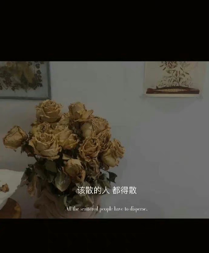 陷入一年半三角恋最好的解决办法,陷入三角恋怎么办