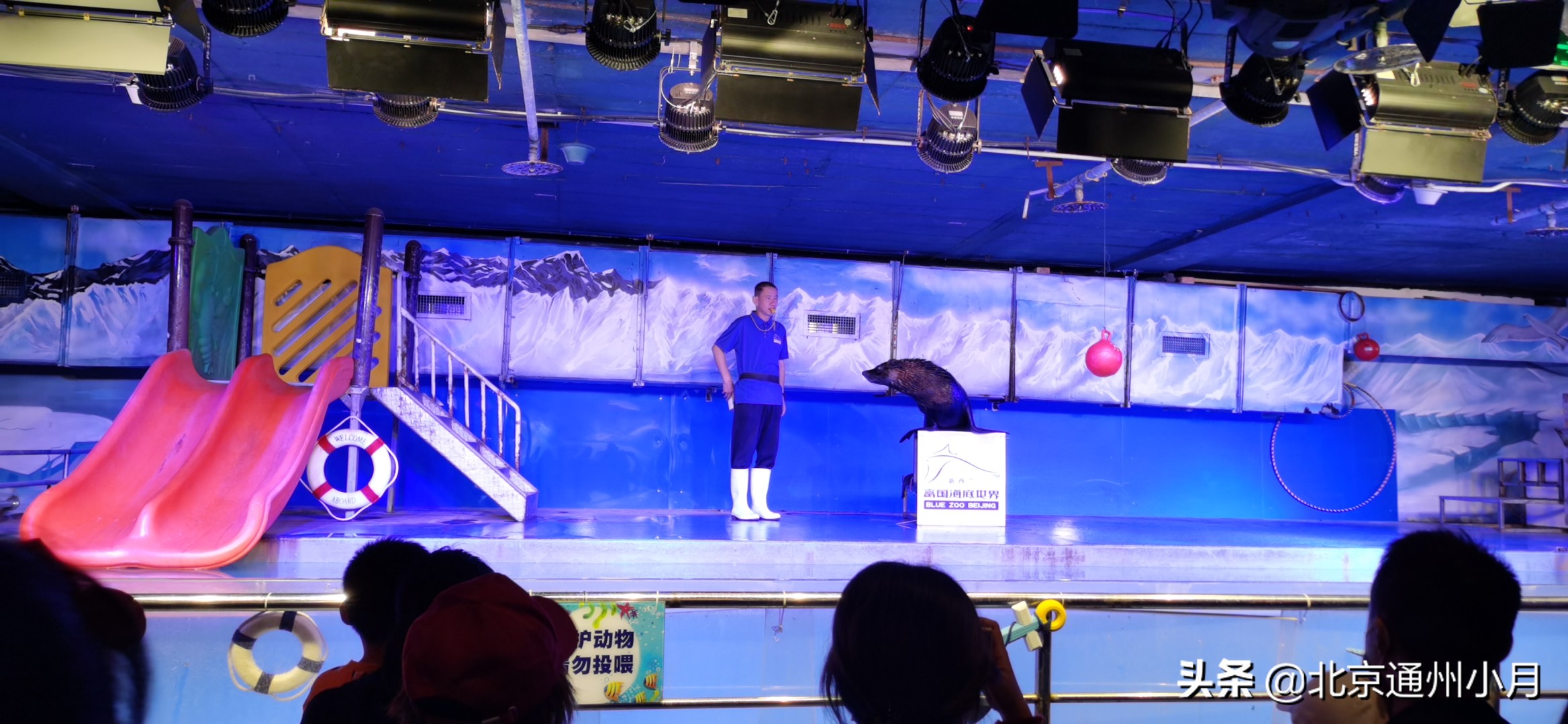 值得去看的海底世界,北京市海底世界门票多少钱