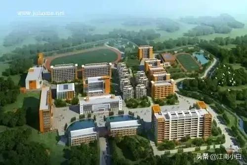 茂名中学十大名校,茂名最好的初中学校排名一览表