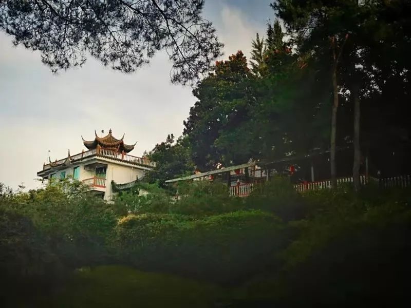 金华这座1.5亿高龄的山峰，浓翠蔽日，风清月朗，还有试胆石等你去挑战