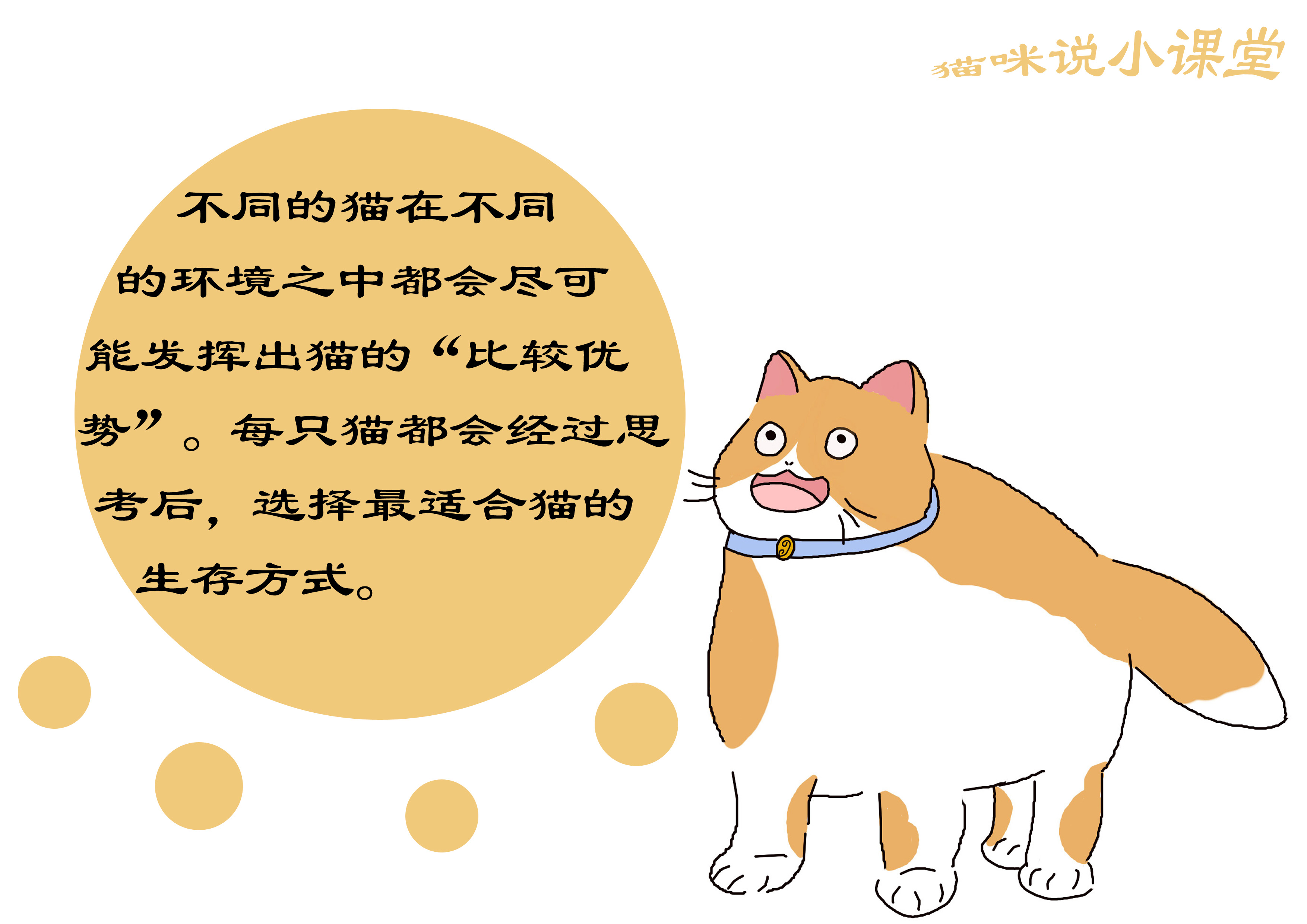 猫的敏锐听觉,猫的触觉非常灵敏是什么在起作用