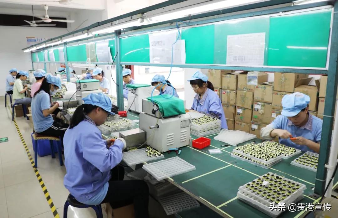 村民和居民的福利待遇,家门口的福利