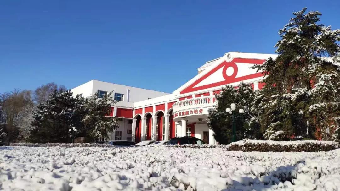 外面零下20℃,绿岛却沸腾了...