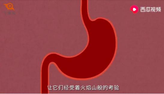 西瓜视频揭秘:辣条吃多了会怎样?一分钟告诉你答案