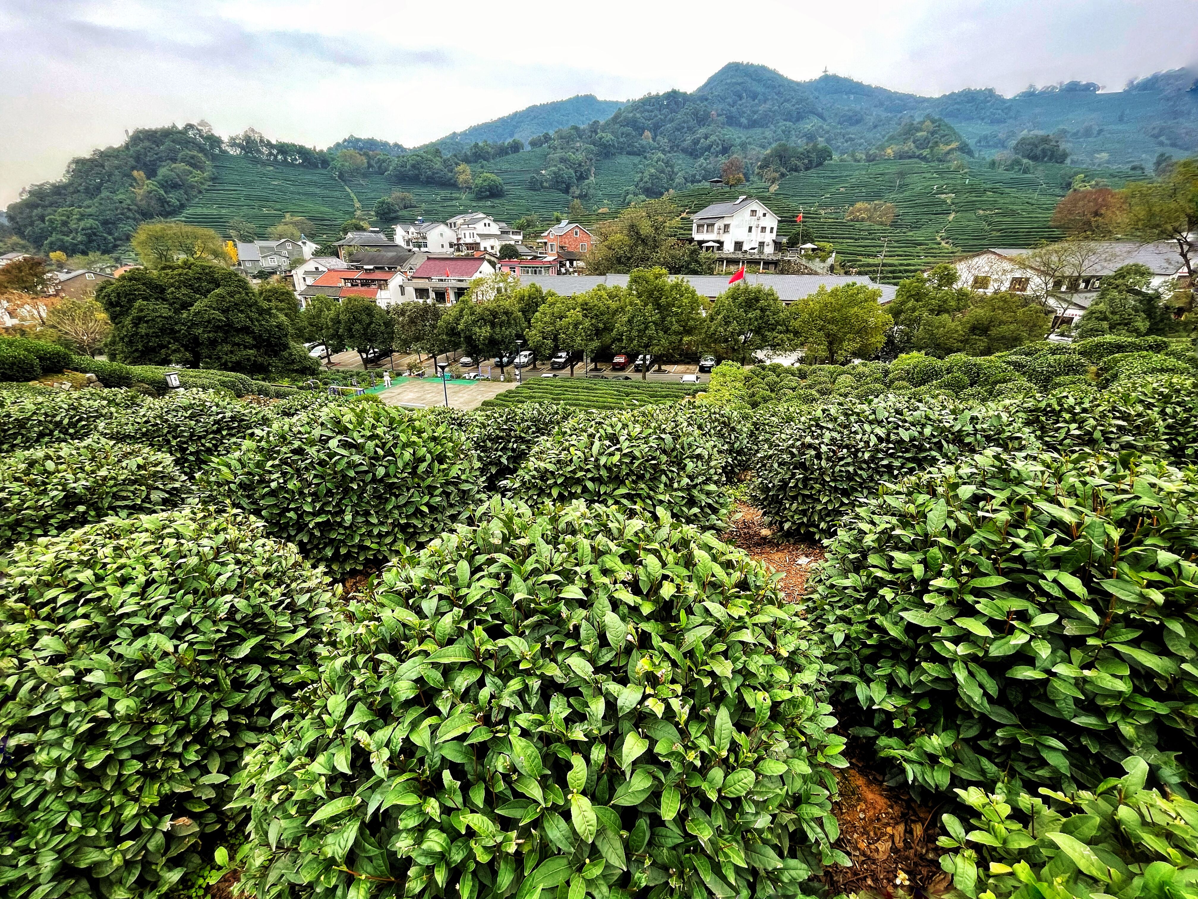 杭州九溪十八涧环境,杭州九溪十八涧四五月有什么风景