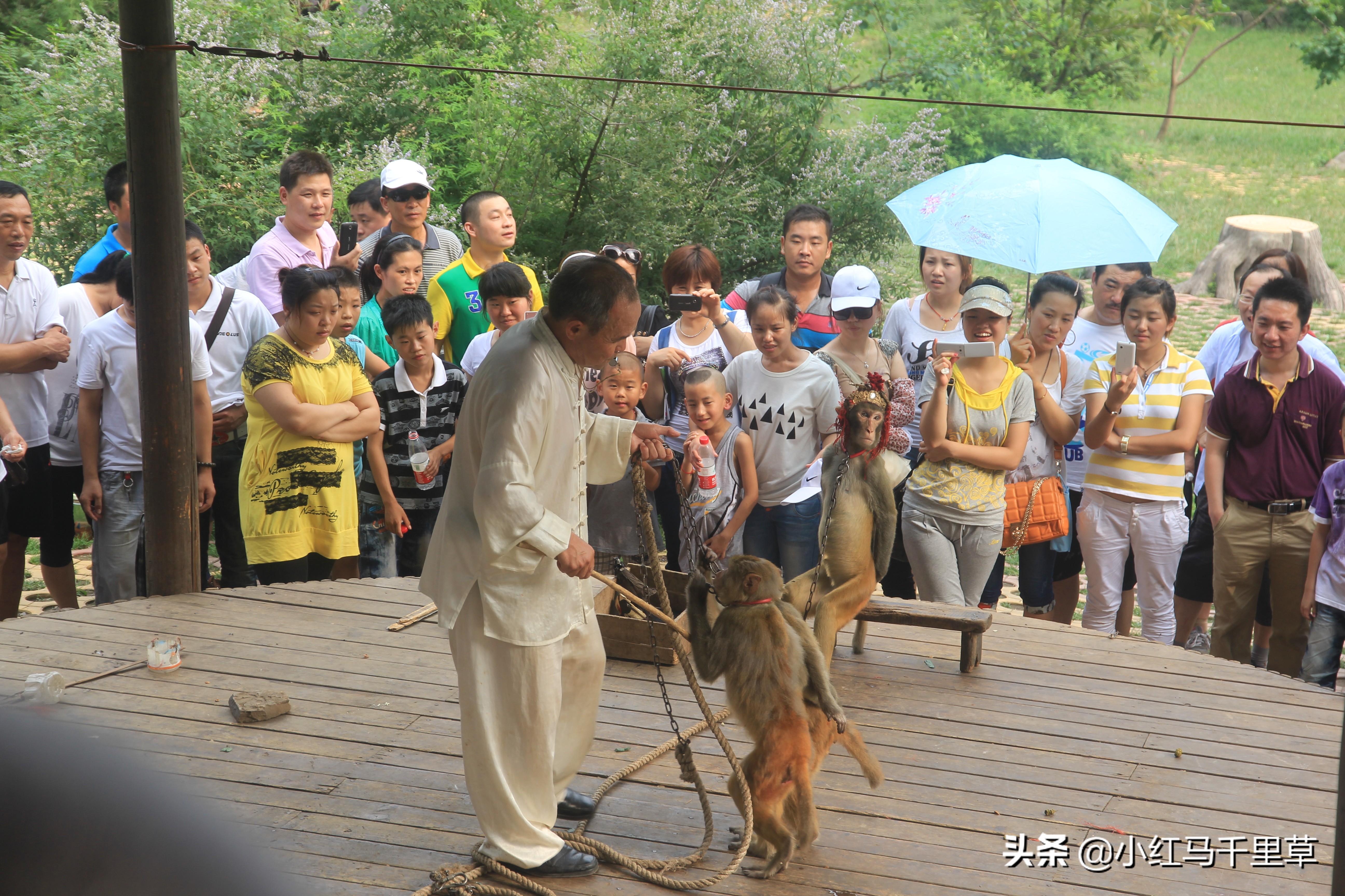 焦作云台山徒步攻略,河南云台山之旅