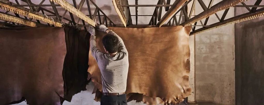 皮革的基础知识和分类,皮革的分类区分