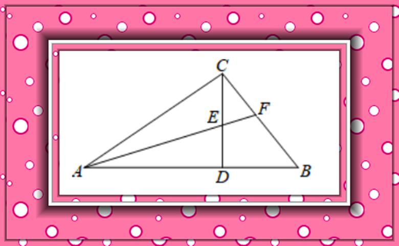 初二上册数学重点难点题型三角形,初二数学三角形全章复习笔记